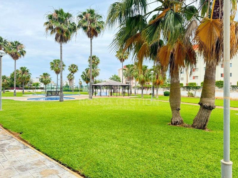 Foto f2210fcd-fe84-4fa9-9a28-d10c3d9f940d. Àtic amb aparcament a Verger (el)