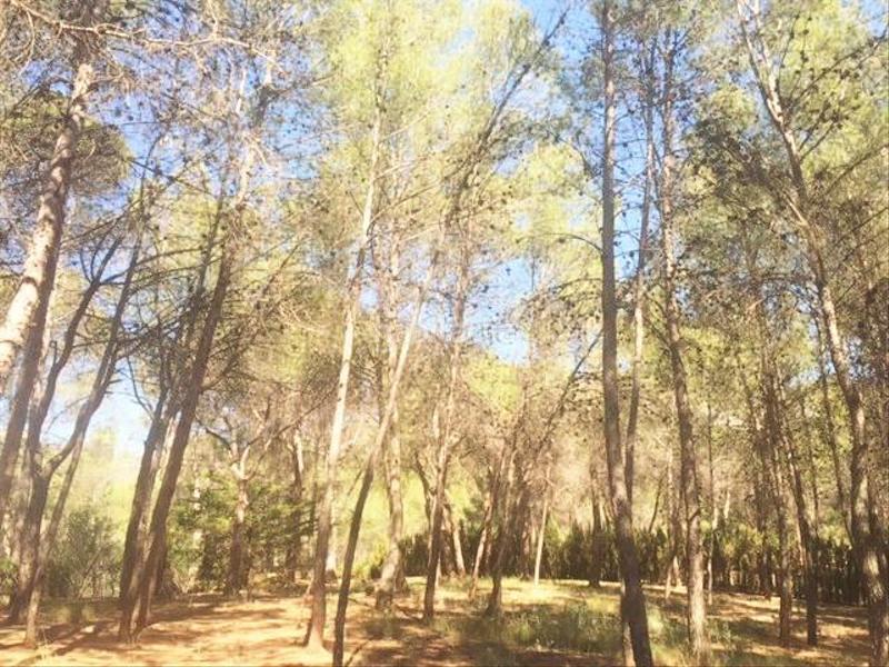 Foto fd06fe27-4c42-4ff8-929c-9d0fad5b4a0d. Xalet amb calefacció aparcament piscina a Cocentaina