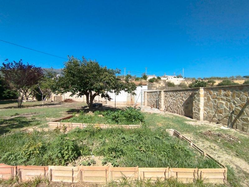 Foto b8081f13-b29b-4816-9850-40ec3b63f32c. Chalet en Cocentaina