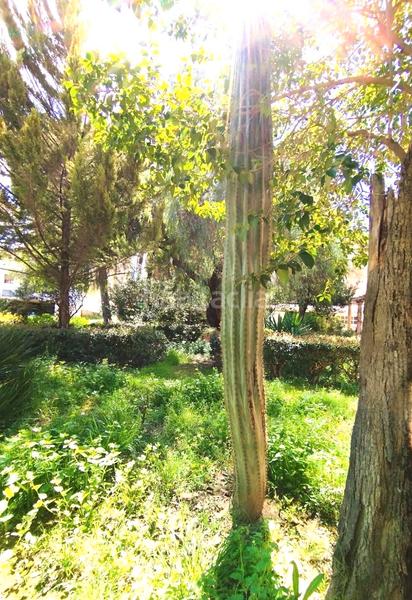 Foto caf97635-d0f4-4d1a-af71-8f5c82aa38a5. Masía en Cocentaina