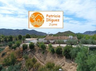 Xalet a Carretera alicante 3. Finca 55.0002 con casa, piscina, etc. , en excelente estado
