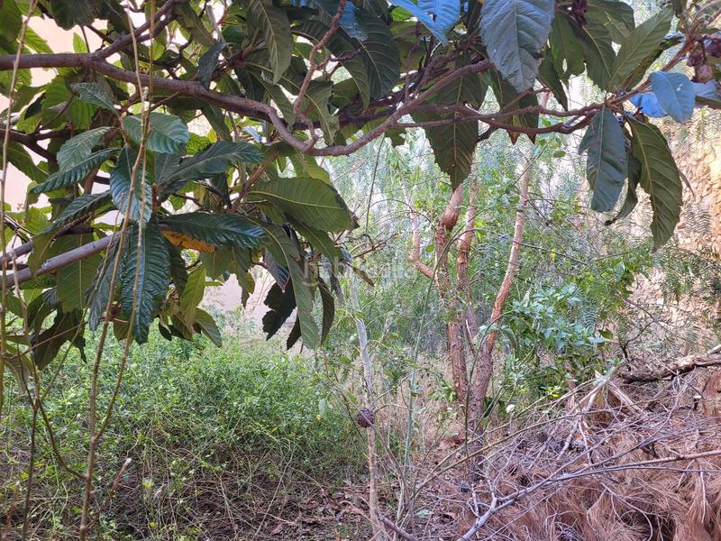 Foto 185e0912-f631-4b55-ae53-26a716143e89. Reihenhaus in Xixona