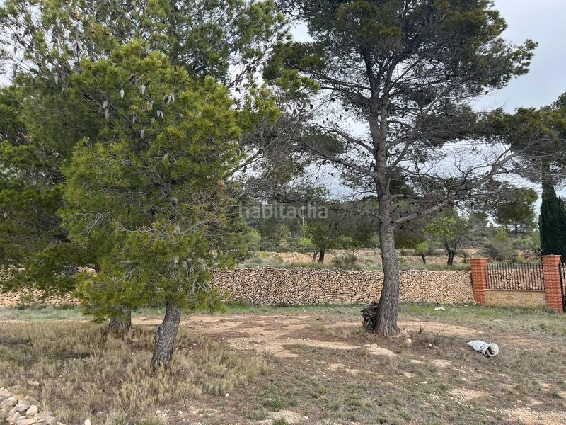 Foto 6573ac02-301a-40c4-acf2-e04765679c18. Casa a partida bugaia de baix 55 a Xixona