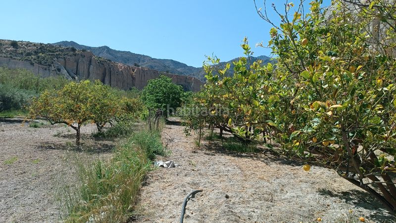 Foto 69ae273b-3bd2-4102-9385-92322b3443a4. Bauernhof in Centro Mutxamel