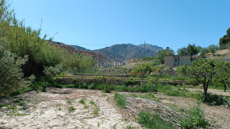 Foto cbd2715b-1dbd-47f0-9d0f-6582ac1c155c. Bauernhof in Centro Mutxamel
