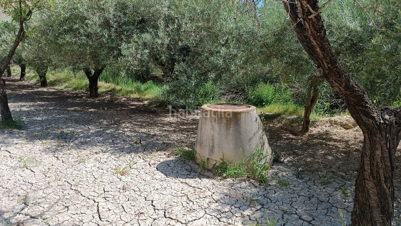 Foto d0339dde-7abe-4ce3-b8c2-de73cbcb7833. Bauernhof in Centro Mutxamel