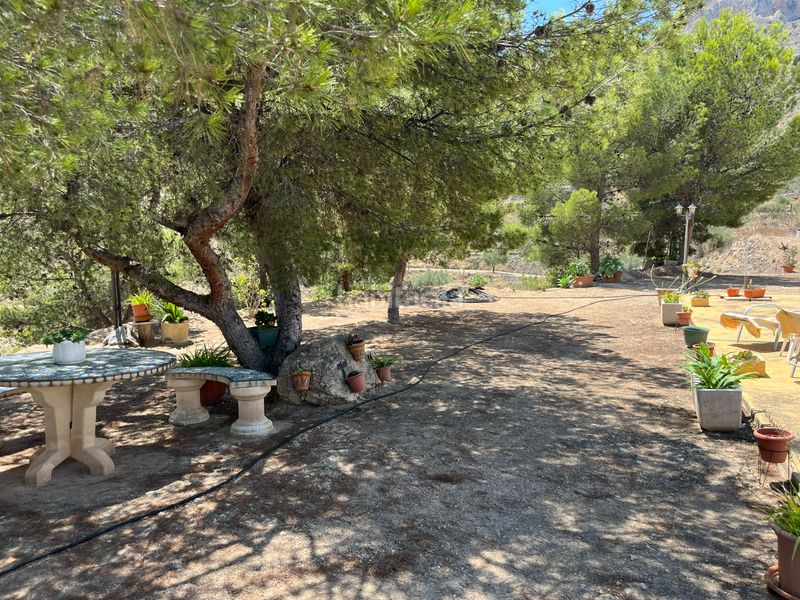 Foto ed3a9dcf-8922-4d57-b4ad-82d612ee207d. Xalet a Xixona