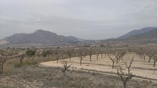 Wohngrundstück  Calle ernesto galiana. Hondon de los frailes. €36.000 cada terreno. 12.500 m2 c/u.