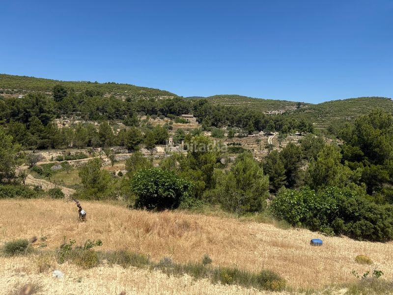 Foto 0ea3575c-7134-43fa-846f-2f07e01f3698. Masia a buitre 32 a Torre de les Maçanes (la)