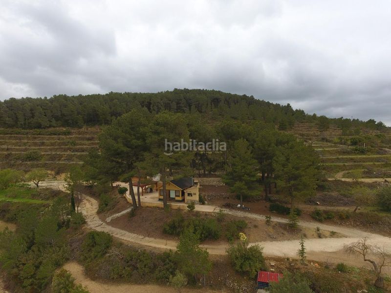 Foto 10d61383-3d73-4755-bf8c-5e5c100e2ebd. Masia a buitre 32 a Torre de les Maçanes (la)