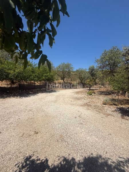 Foto 184264ee-a142-4b65-b5d4-8b69c669f7a8. Masia a buitre 32 a Torre de les Maçanes (la)