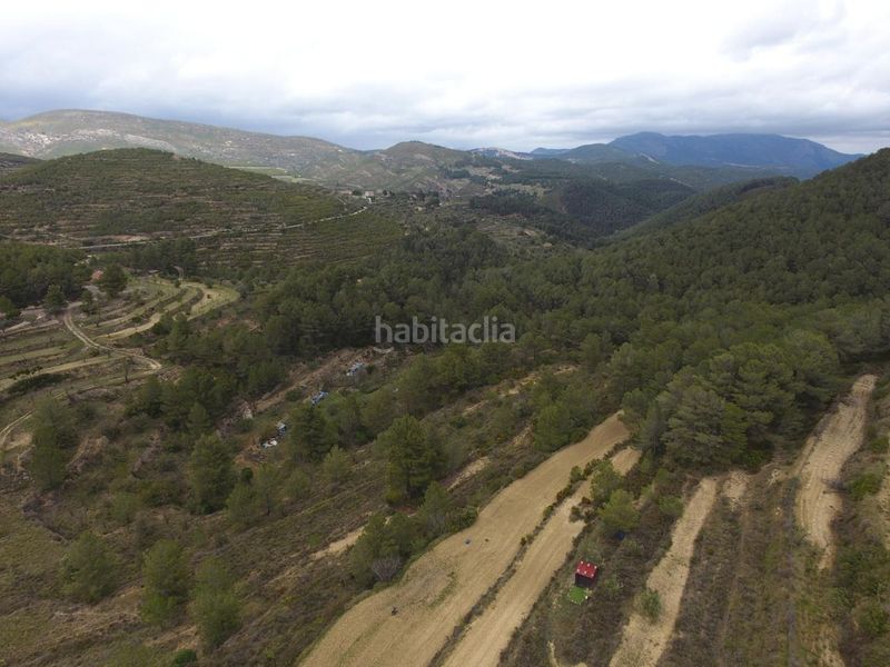 Foto 9b916a69-75e2-427b-8887-ba3ca770ab5f. Masia a buitre 32 a Torre de les Maçanes (la)