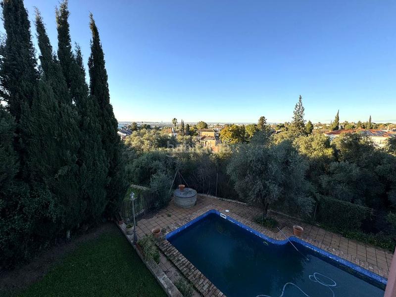 Foto d301b86b-6cd0-4382-8fe6-9cc02aad14a6. House with parking pool in Olivar de Quintos Montequinto