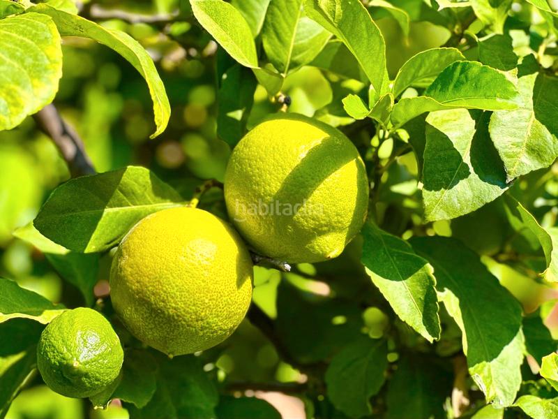 Foto abc05a0a-3729-44ae-b639-cd27891ced2d. Appartamento con riscaldamento parcheggio in Canovelles