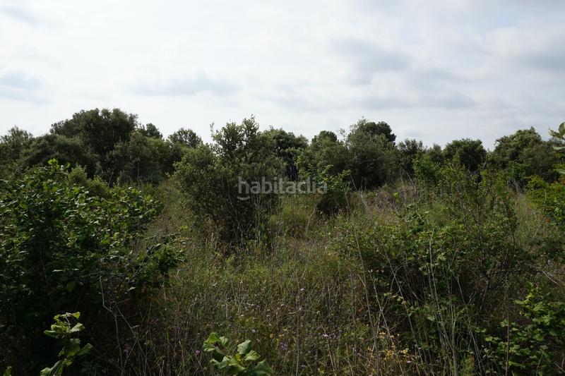 Foto 0db0dd47-0d06-48c0-9c2e-dccd3c4a1959. Mas dans Borges del Camp (Les)