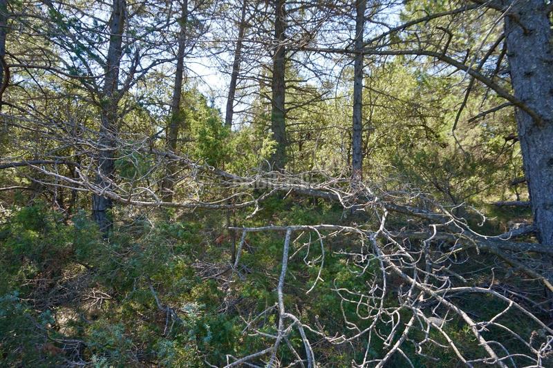 Foto 3a158373-c6da-4c3c-a646-1bb75be48541. Finca rústica a Montblanc