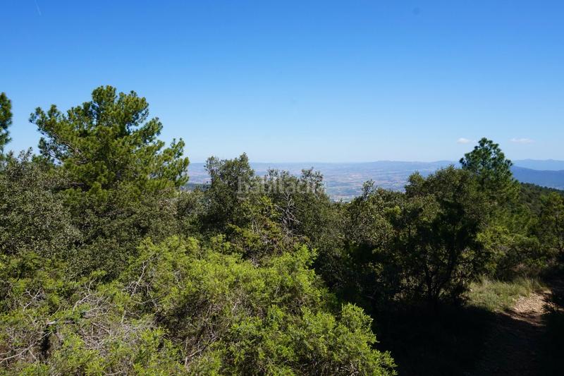 Foto 49876a13-625e-4d92-8a21-c0ff6fe3cca7. Finca rústica a Montblanc