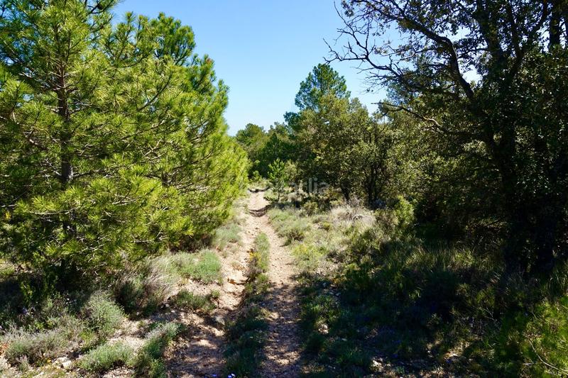 Foto 7c04e8f8-8f9a-43bf-844d-3e584063427a. Finca rústica a Montblanc