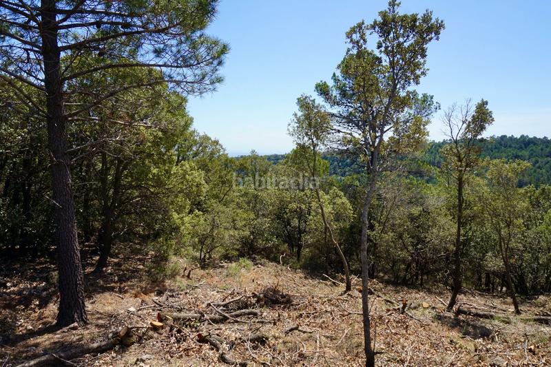 Foto 863cd8d0-e2ee-4cc3-be1b-b451cd073902. Finca rústica a Montblanc