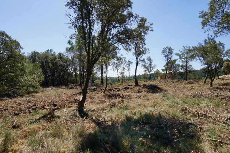 Foto bb6f1f68-3e44-46ce-bce4-ce39fc432978. Finca rústica a Montblanc