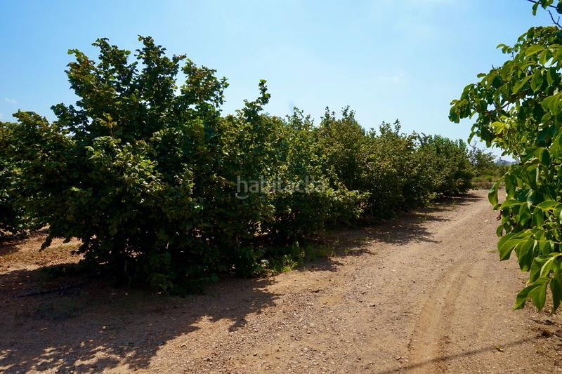 Foto 3cc71b8b-7305-462b-bba9-56f36032b728. Propriété dans Constantí