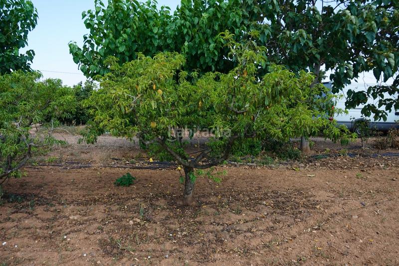 Foto 5e550b4d-373d-4514-a1e3-8420084b1096. Propriété dans Constantí