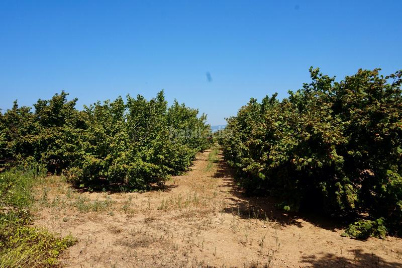 Foto 808eaaec-cf64-4f76-8111-17f2144adc7c. Propriété dans Constantí