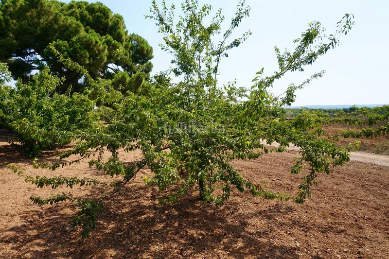 Foto 89904737-3ad9-4c33-b730-b06074b3cc29. Propriété dans Constantí