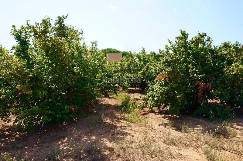 Foto a0ebd910-1e7a-458a-9936-2bb4a780260c. Propriété dans Constantí