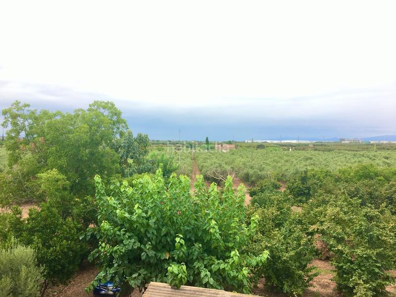 Foto ad3309e1-553f-40bd-a43f-e2bfc1ea89b7. Propriété dans Constantí