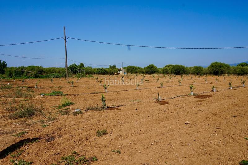 Foto b9923a84-7b62-49aa-ad85-49e255ce774c. Propriété dans Constantí