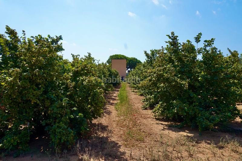 Foto d1719ce3-a208-401f-a2bb-d65e9adbe566. Propriété dans Constantí