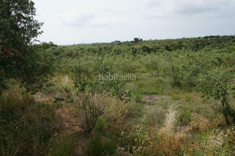 Foto 07bb6b09-62ed-4a3e-8d65-961364f3d728. Finca rústica  de 4.000 m2 muy natural en Riudoms