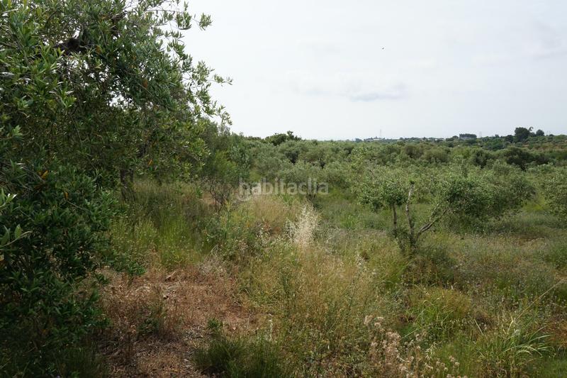 Foto 22d9a60a-1167-42da-bd72-7c372abb1d95. Finca rústica  de 4.000 m2 muy natural en Riudoms