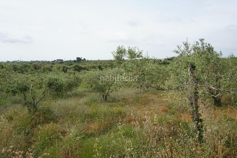 Foto 4ef27273-c39d-4c85-91e4-371b49400e8b. Finca rústica  de 4.000 m2 muy natural en Riudoms