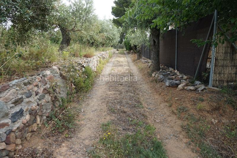 Foto 6e918567-c352-4996-a9fd-1b19f1482aba. Finca rústica  de 4.000 m2 muy natural en Riudoms