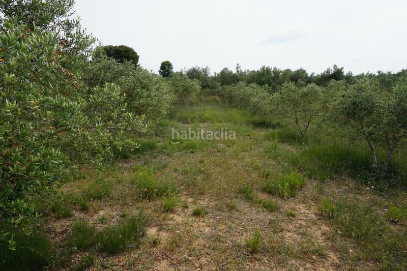 Foto 9c7ad32b-418a-4024-b8c1-2e8a0c53e166. Finca rústica  de 4.000 m2 muy natural en Riudoms