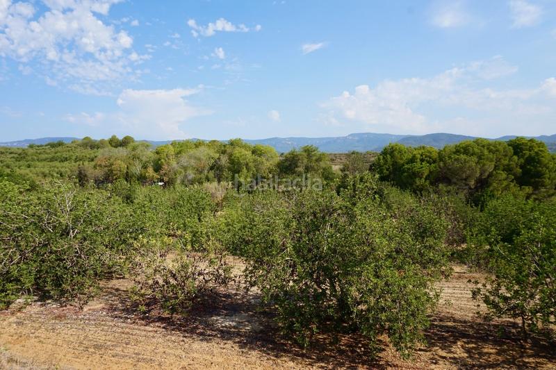 Foto 6865df25-4c0e-4590-b620-f438d442516c. Finca rústica a Riudoms