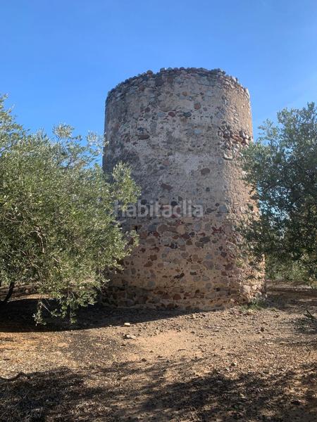 Foto 9c39cf2e-ea6d-4f46-bad8-692385e4d67c. Finca rústica a Riudoms