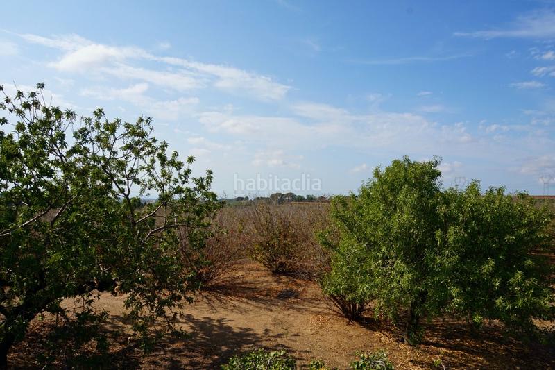 Foto ad1da326-40d7-48ae-9d7b-03da744cb764. Finca rústica a Riudoms