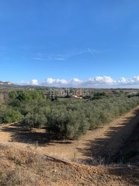 Foto b8a64ef4-0066-4898-908f-1fc9c56a73f9. Finca rústica a Riudoms