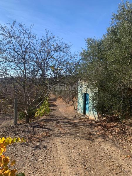 Foto bdf87893-d621-4c7b-8b1b-ed1e0eae7228. Finca rústica a Riudoms