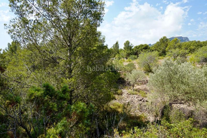 Foto 14652df8-945d-47b1-904f-262e221bec84. Fondo rustico in Vandellòs i l´Hospitalet de l´Infant