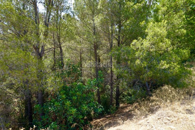 Foto 35e79fc4-364b-4a22-a7e4-40c1f3c3410e. Fondo rustico in Vandellòs i l´Hospitalet de l´Infant