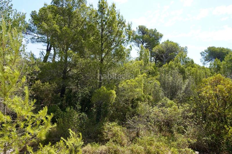 Foto 3c8093ca-2779-4c11-9f19-77280c807b98. Fondo rustico in Vandellòs i l´Hospitalet de l´Infant