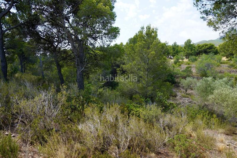 Foto 4f9cd3a4-73b7-4034-a2ab-25f9d6a2d155. Fondo rustico in Vandellòs i l´Hospitalet de l´Infant