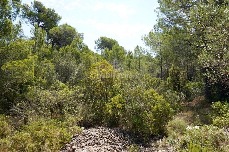 Foto 649be4b6-be18-4633-b83c-98a1c85ec66c. Fondo rustico in Vandellòs i l´Hospitalet de l´Infant