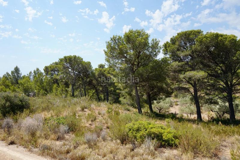 Foto 7b9d1966-68d4-4147-9d37-d040bbfc1742. Fondo rustico in Vandellòs i l´Hospitalet de l´Infant