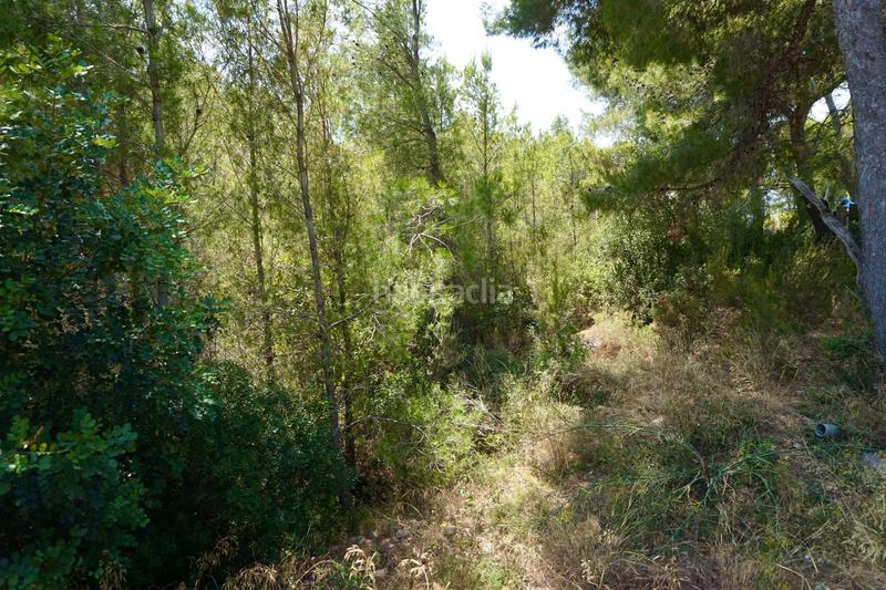 Foto a2f77722-129a-42eb-9574-bb9dd6683cf3. Fondo rustico in Vandellòs i l´Hospitalet de l´Infant