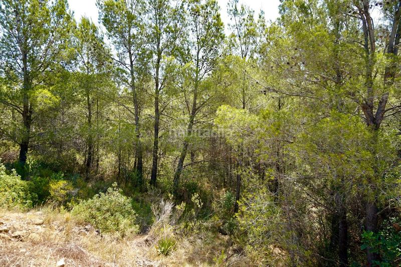 Foto a605a665-b282-4339-835c-1460f55efef1. Fondo rustico in Vandellòs i l´Hospitalet de l´Infant